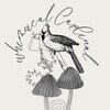 peculiarcatshop
